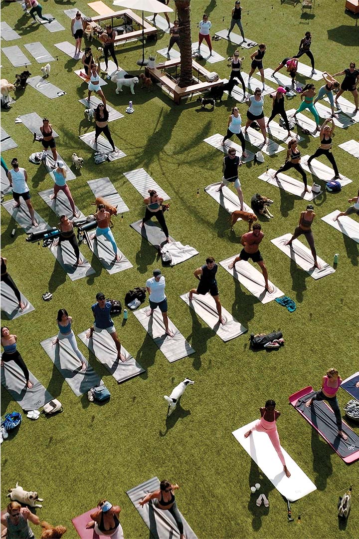 a group of people doing yoga on mats