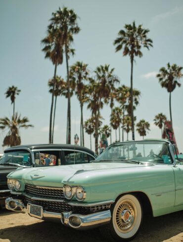 a group of cars parked in front of palm trees